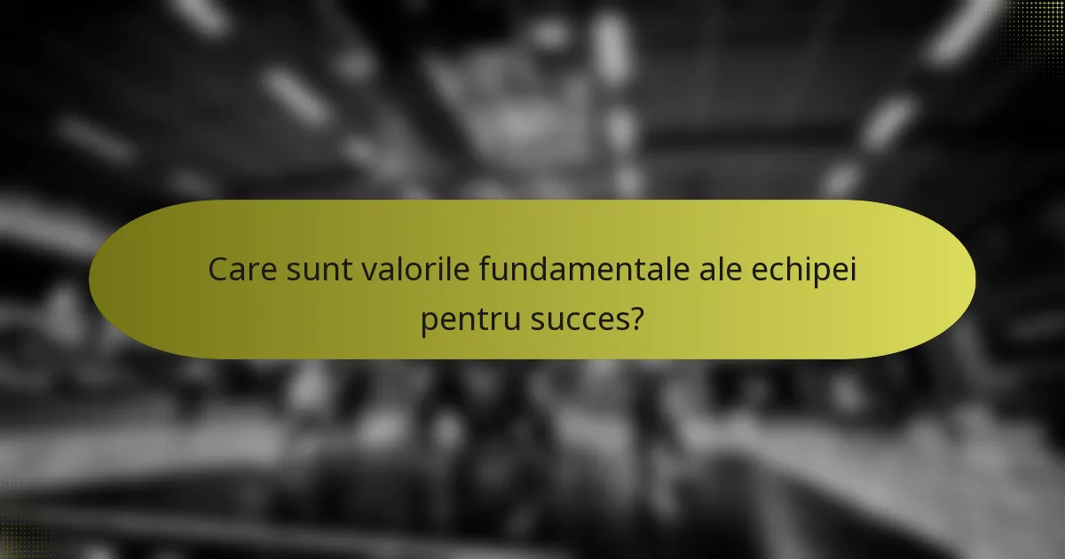 Care sunt valorile fundamentale ale echipei pentru succes?