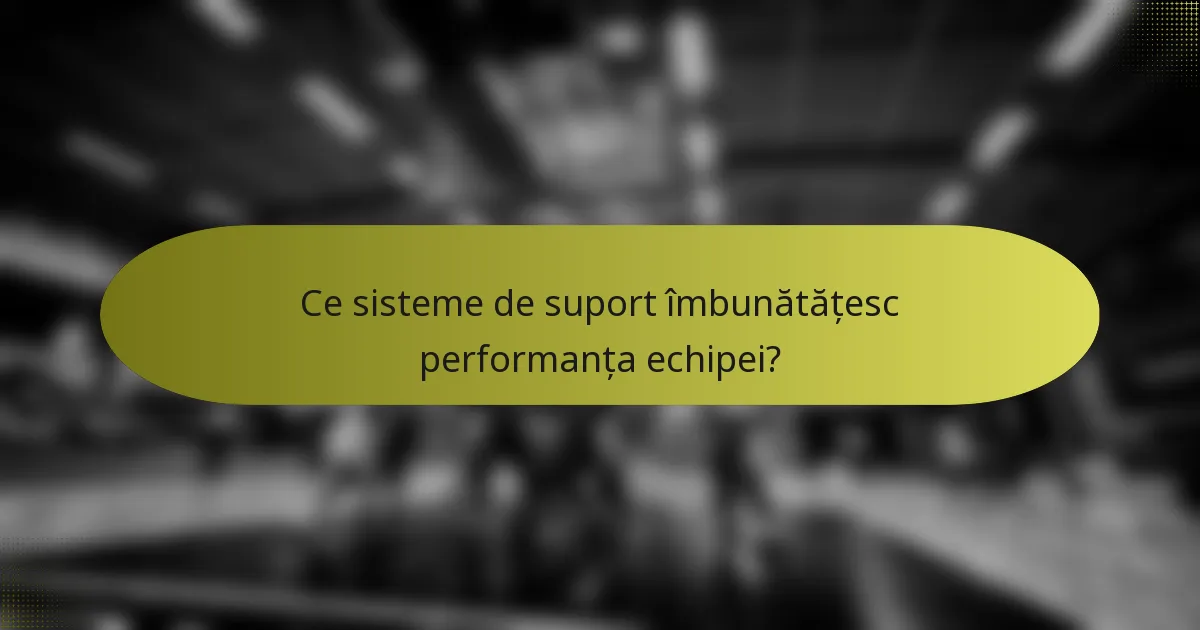 Ce sisteme de suport îmbunătățesc performanța echipei?
